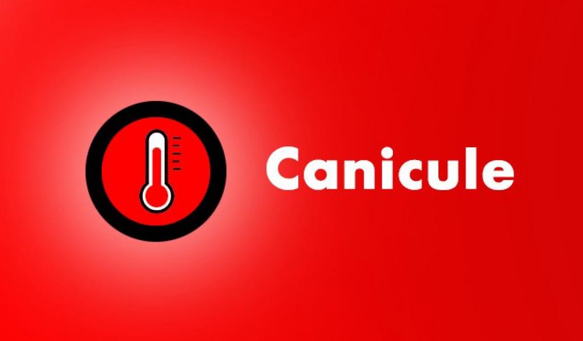 Canicule