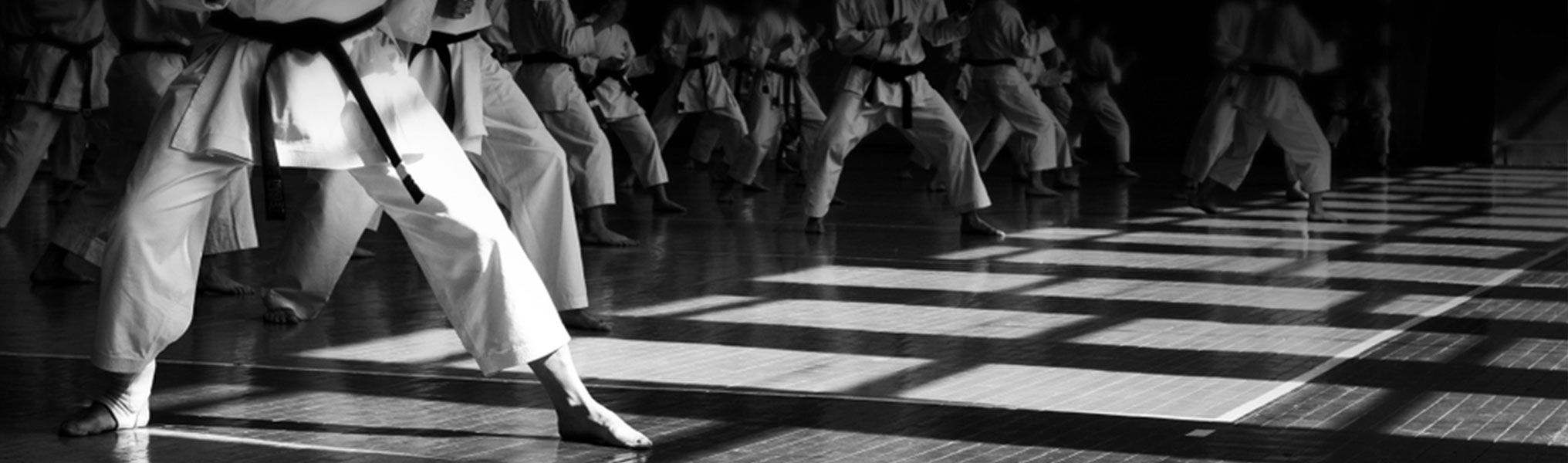 Oni Karate Taillan