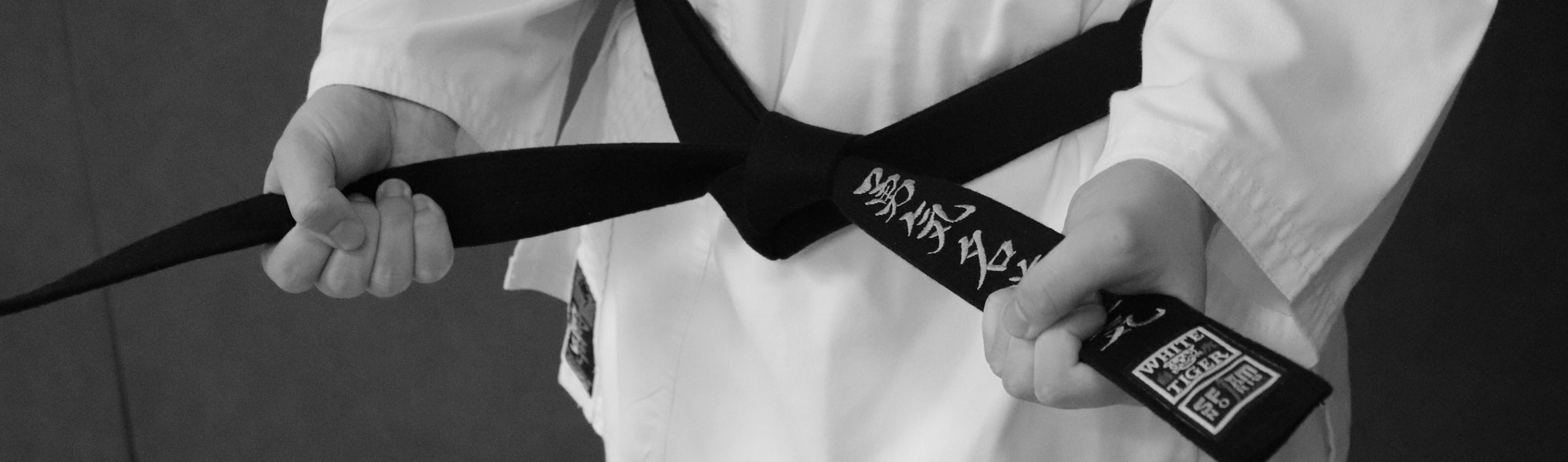 Oni Karate Taillan