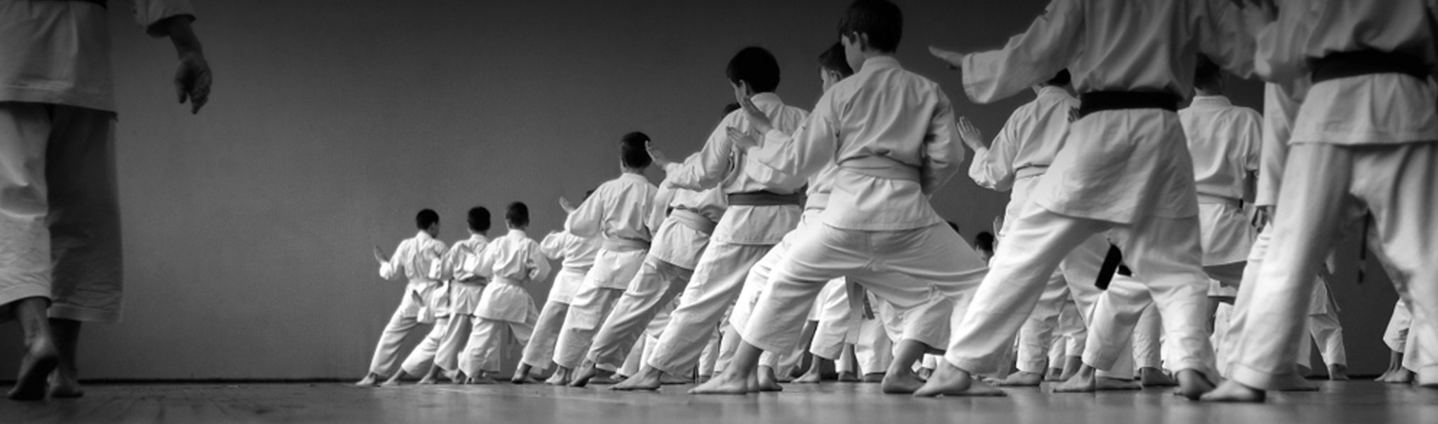 Oni Karate Taillan